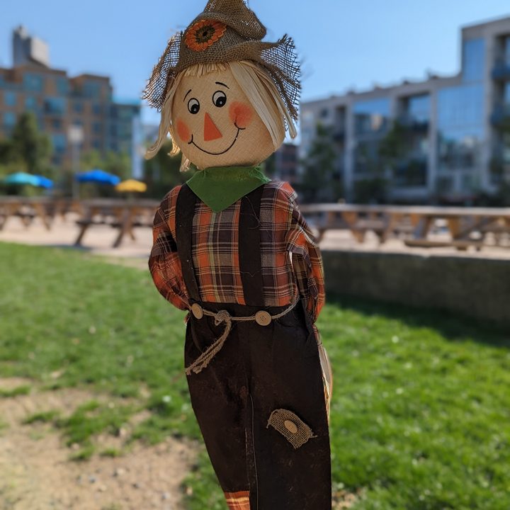 Portrait mode photo of a scarecrow, taken with the Pixel 7 Pro.