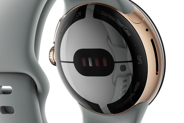 The back of the Google Pixel Watch.