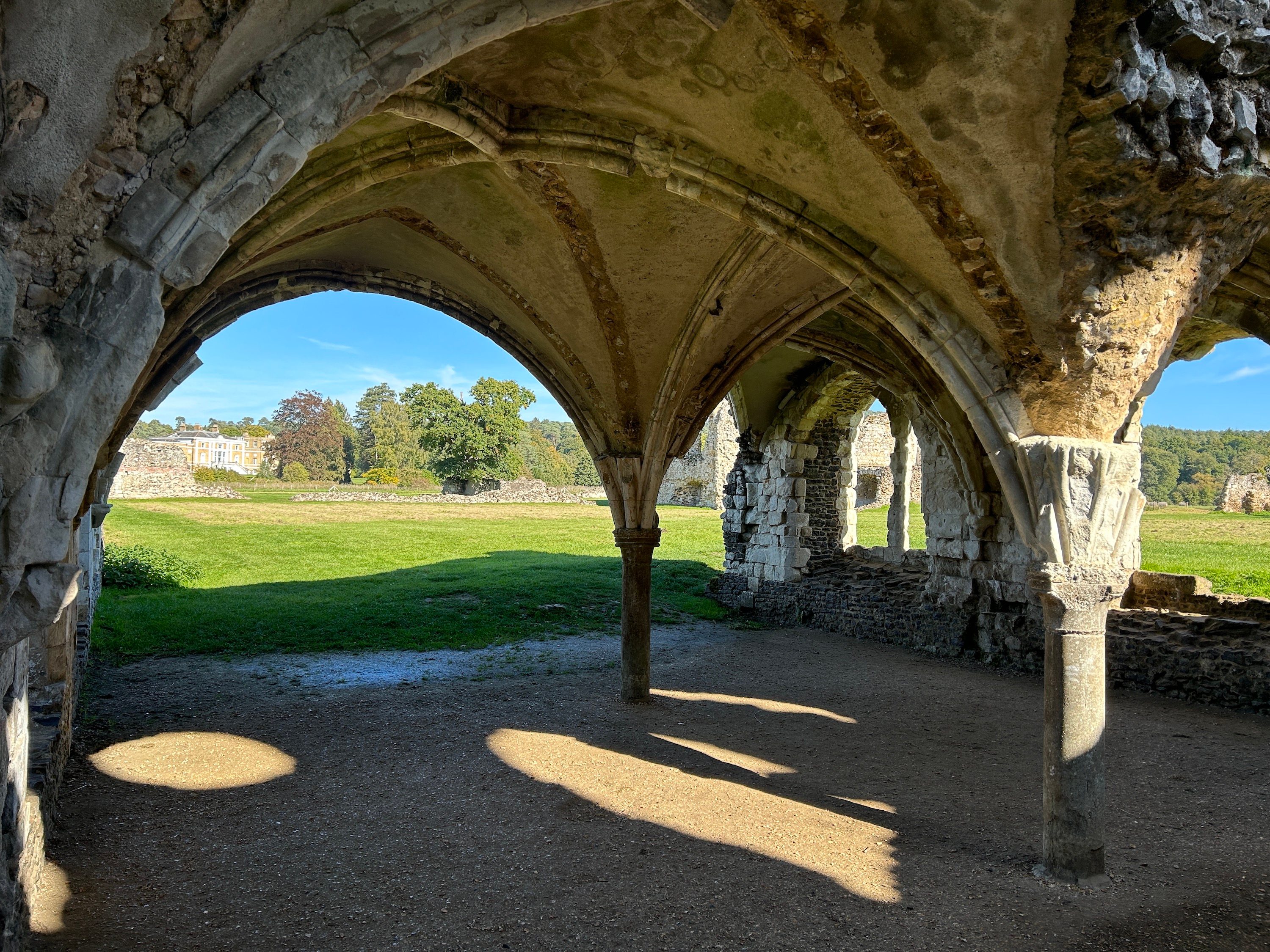 Main camera photo taken with the iPhone 14 Plus.