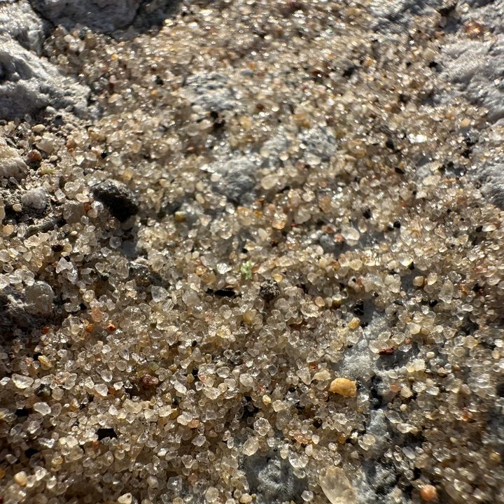 Macro photo of sand on a beach, taken with the iPhone 14 Pro.