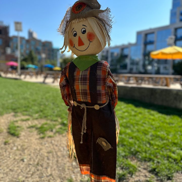 Portrait mode photo of a scarecrow, taken with the iPhone 14 Pro.