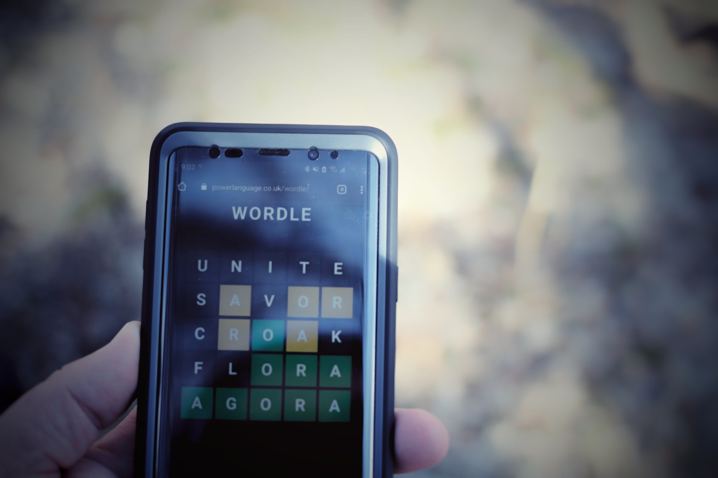 Person holding up phone playing Wordle.