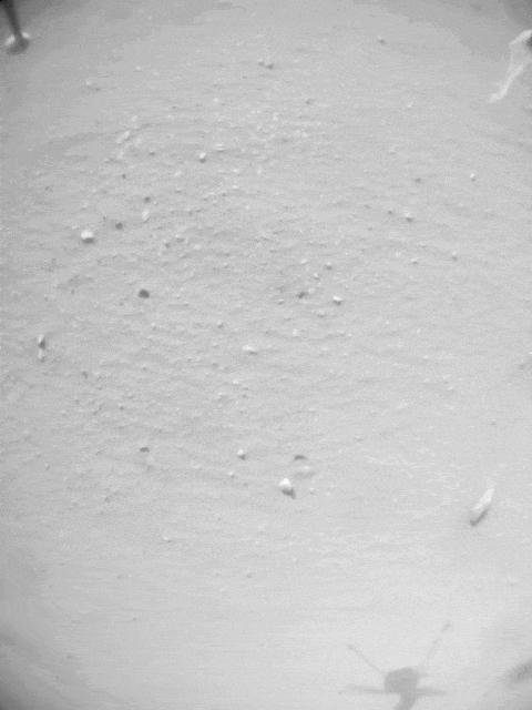 A small piece of foreign object debris (FOD) is seen in footage from the navigation camera of NASA's Ingenuity Mars Helicopter during its 33rd flight on Mars on Sept 24, 2022. The FOD is seen attached to one of the rotorcraft's landing legs, then drifting away.