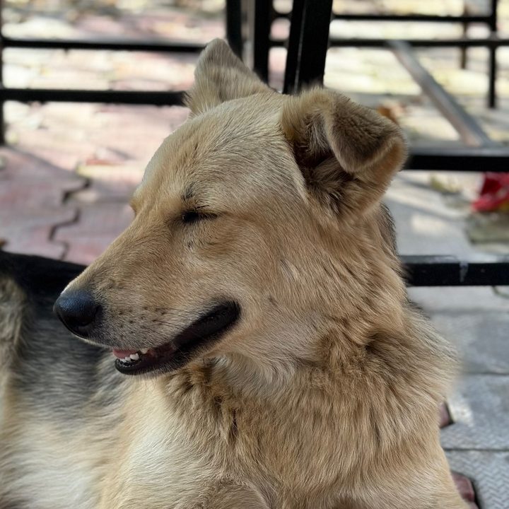 Portrait image clicked by iPhone 14 Pro.