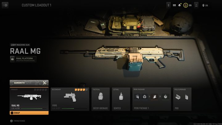 The RAAL MG in Modern Warfare II.