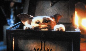 A gremlin pops his head up in a chest in a scene from Gremlins.