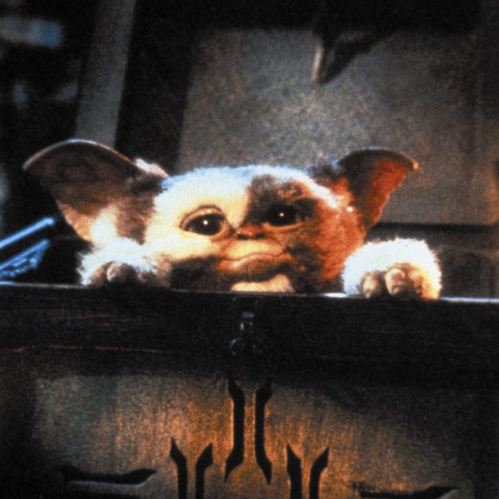 A gremlin pops his head up in a chest in a scene from Gremlins.