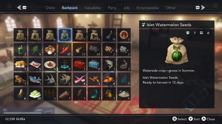 A backpack filled with resources in Harvestella.
