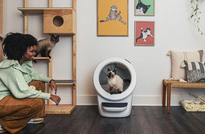 A cat sits in the Litter Robot 4 and watches his owner.