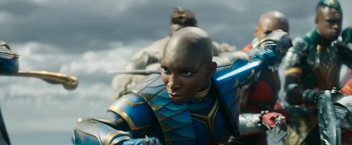aneka-black-panther-wakanda-forever
