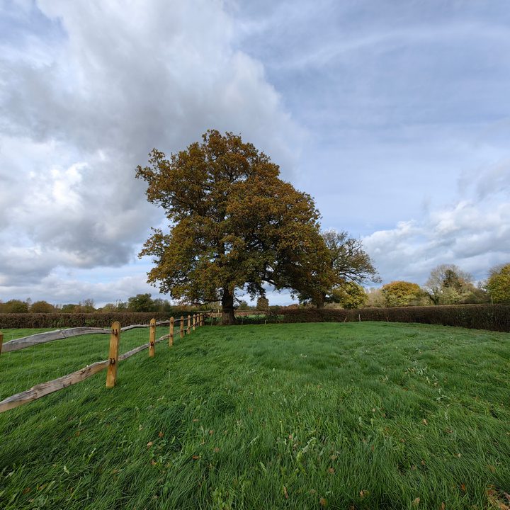 Wide-angle photo taken with the Huawei Mate 50 Pro.