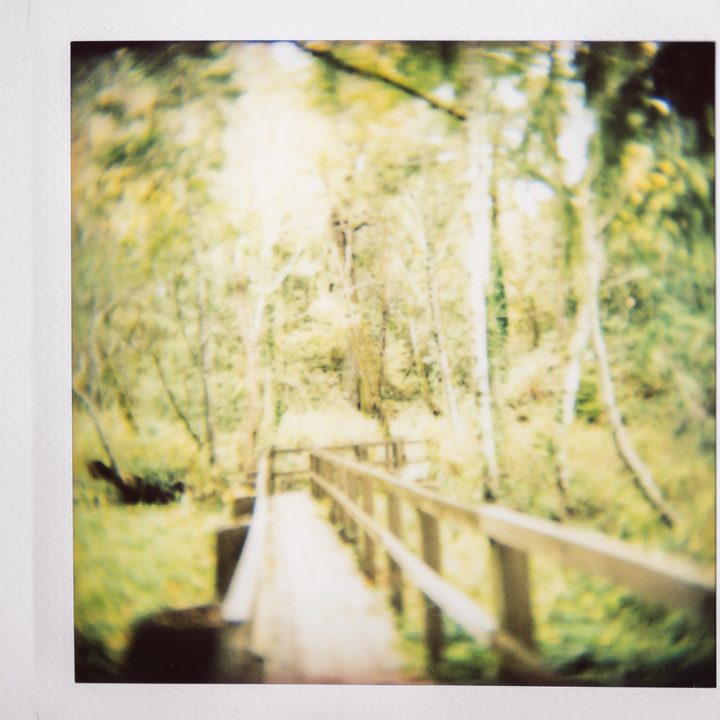 Instax photo of a boardwalk through the woods.
