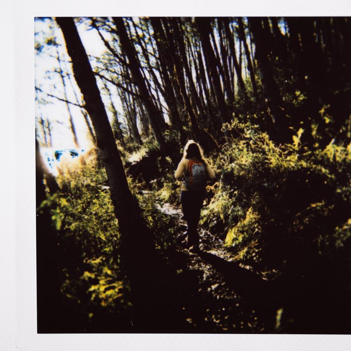 Instax photo of a hiker on a trail in the forest.