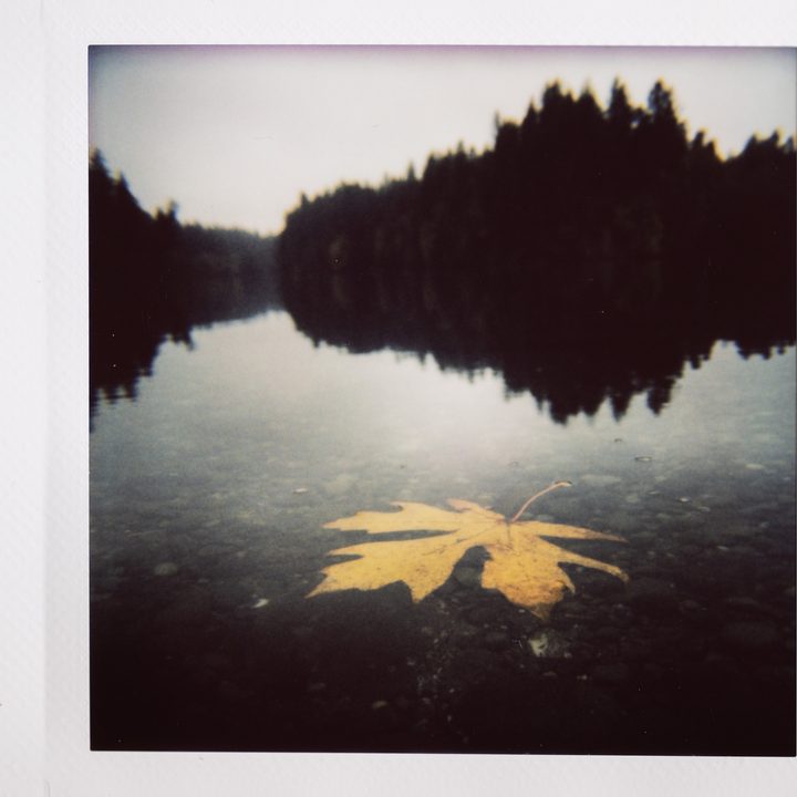 Instax photo of a leaf floating in the water.