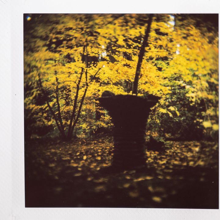 Instax photo of a bird bath beneath fall colors