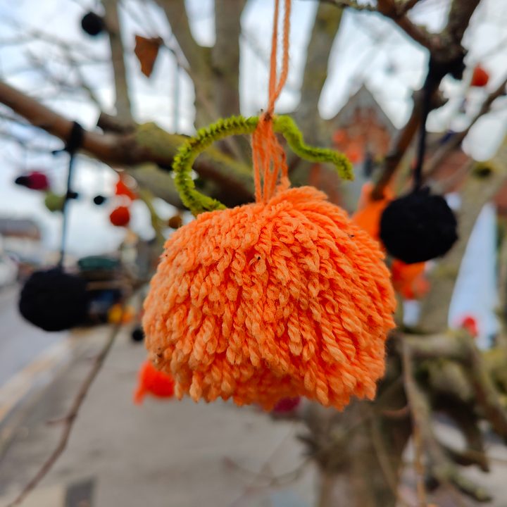 Portrait mode camera photo taken with the OnePlus 10 Pro.