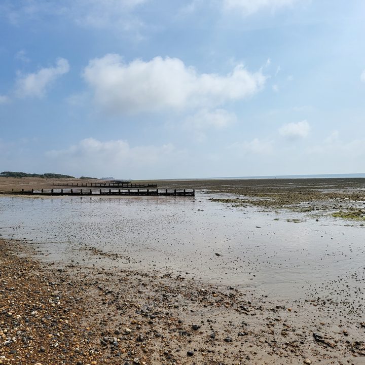 Photo example before using the Pixel 7 Pro's Sky feature.
