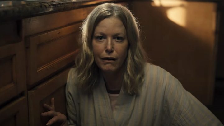 Anna Gunn in The Apology.