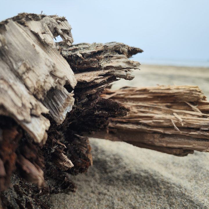 Log of wood on beach sand captured with the Xiaomi 12S Ultra.