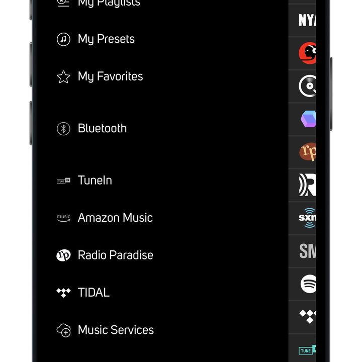 BluOS app for iOS sources screen.