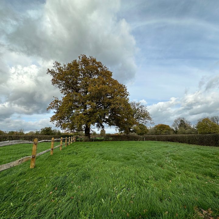 Wide-angle photo taken with the Apple iPhone 14 Pro.