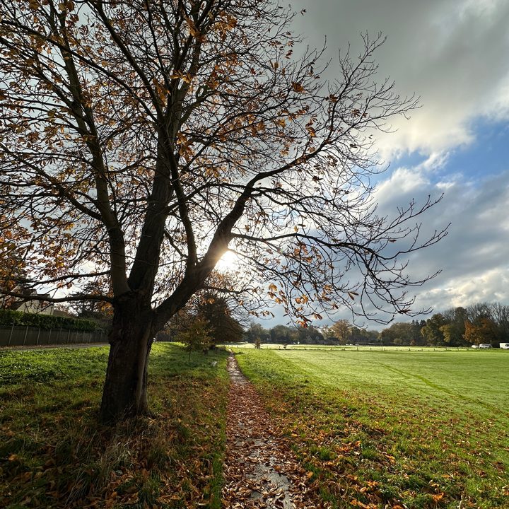 Wide-angle photo taken with the Apple iPhone 14 Pro.