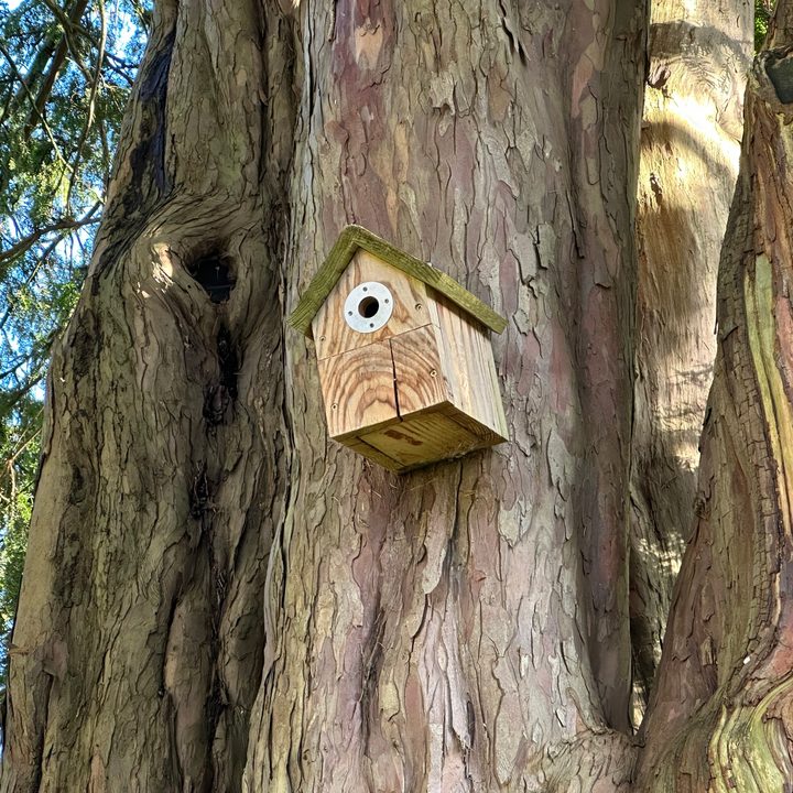 3x zoom photo taken with the Apple iPhone 14 Pro.