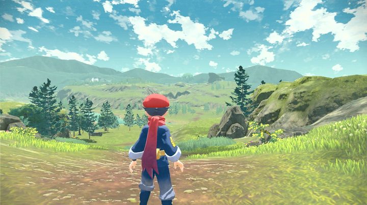 Rei from Pokemon Legends looking out into a grassy area