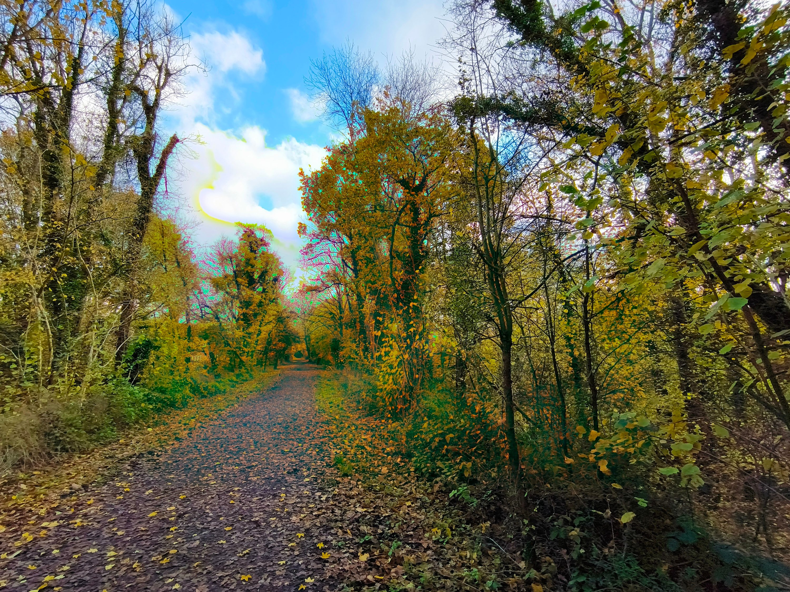 A wide-angle photo taken with the Tecno Phantom X2 Pro.
