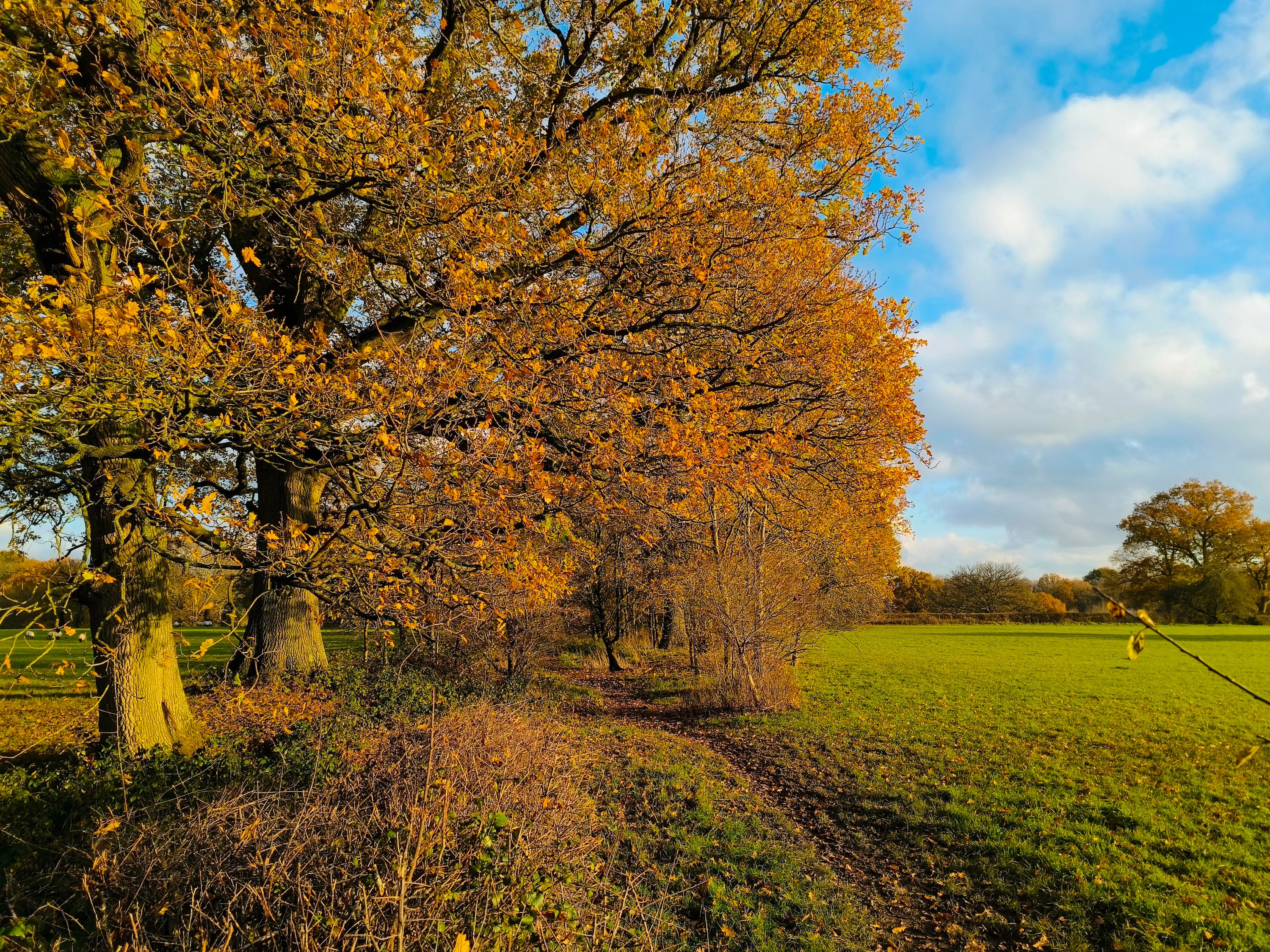 A main camera photo taken with the Tecno Phantom X2 Pro.