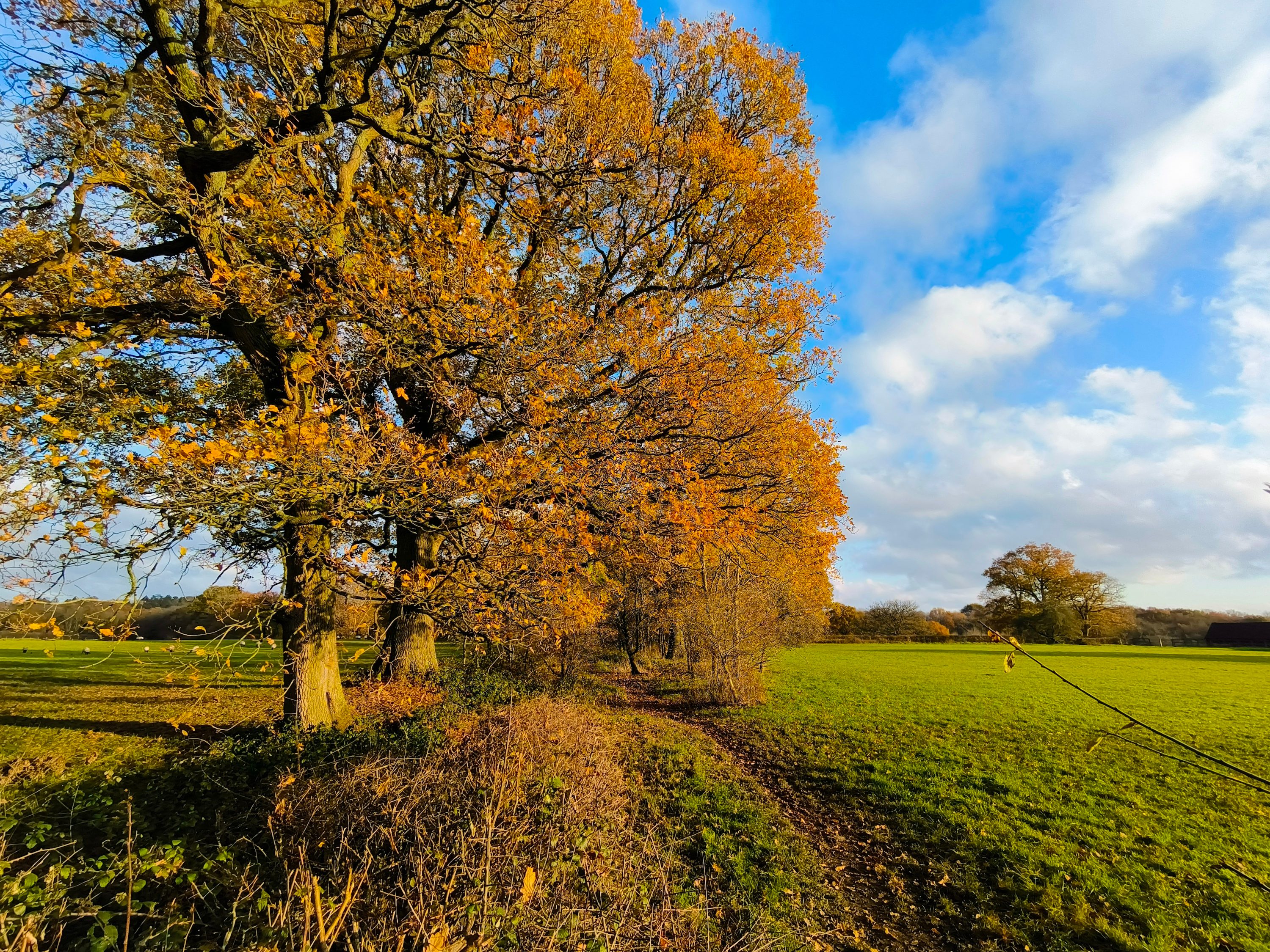 A wide-angle photo taken with the Tecno Phantom X2 Pro.