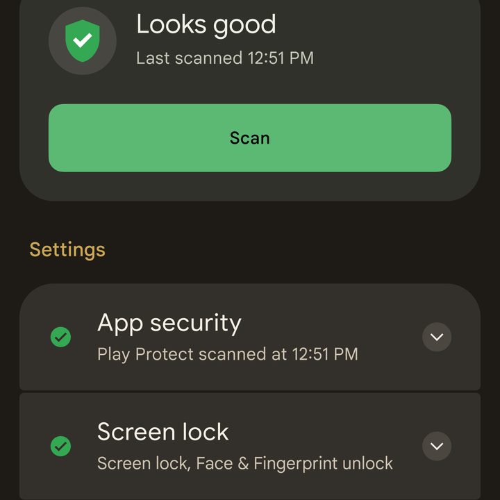 Security and Privacy Settings screenshot on a Google Pixel phone.