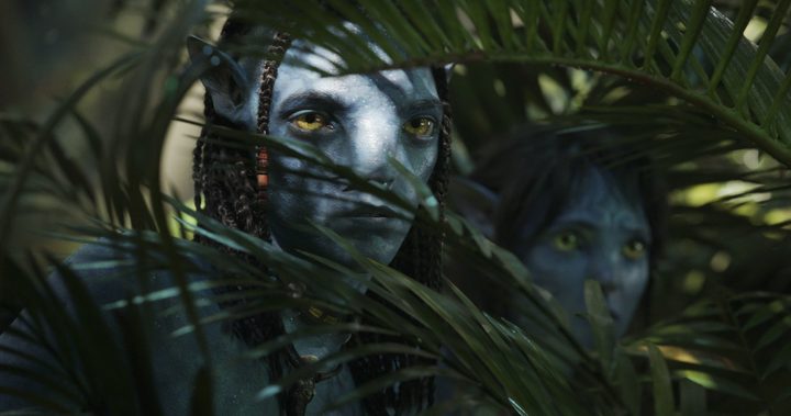 A blue-skinned Na'vi looks out from the forest in a scene from Avatar: The Way of Water.
