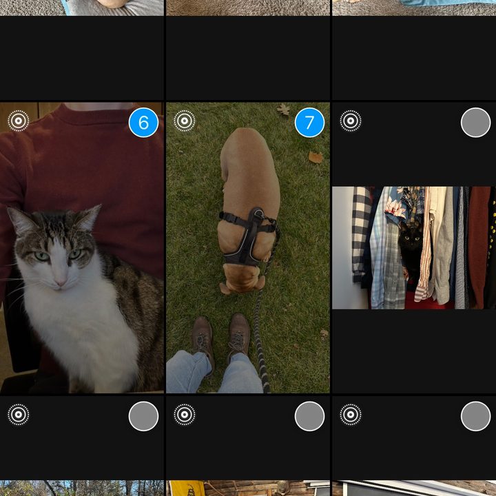 Creating an Instagram Recap 2022 Reel.