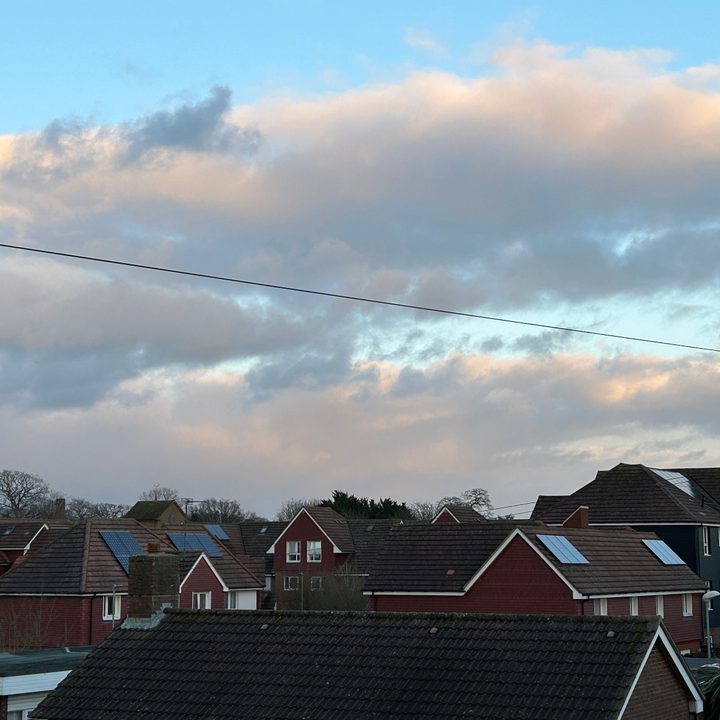 2x zoom photo taken with the iPhone 14 Plus.