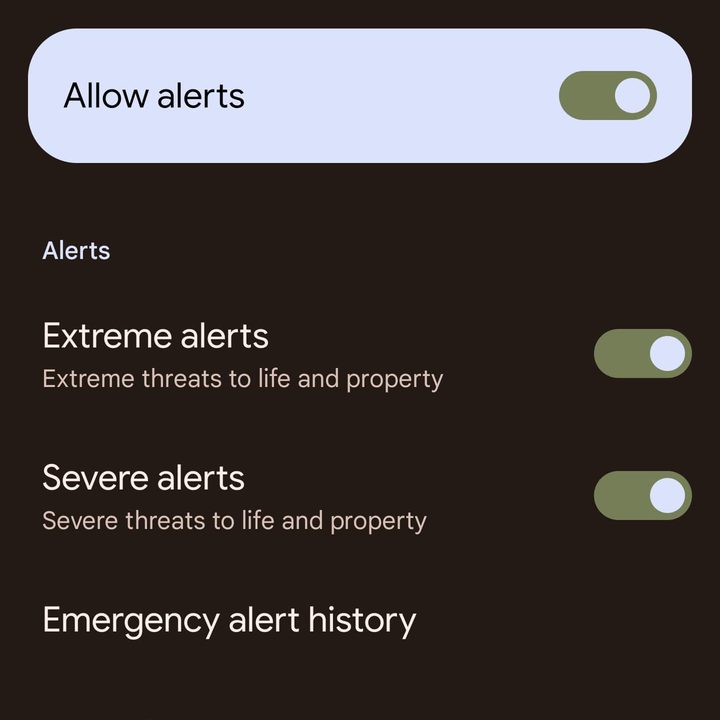 The Amber Alerts screen on Android 13.