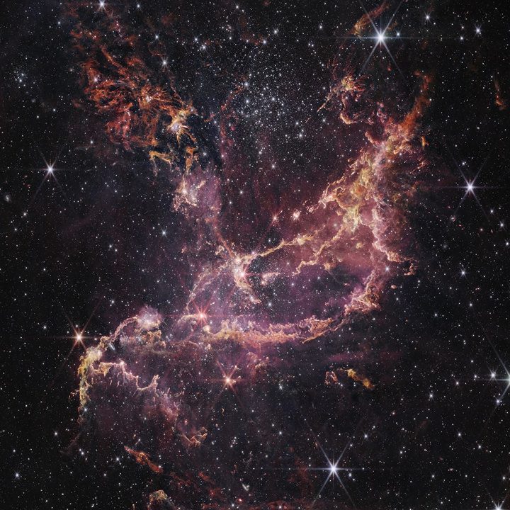 NGC 346, shown here in this image from NASA’s James Webb Space Telescope Near-Infrared Camera (NIRCam), is a dynamic star cluster that lies within a nebula 200,000 light years away.