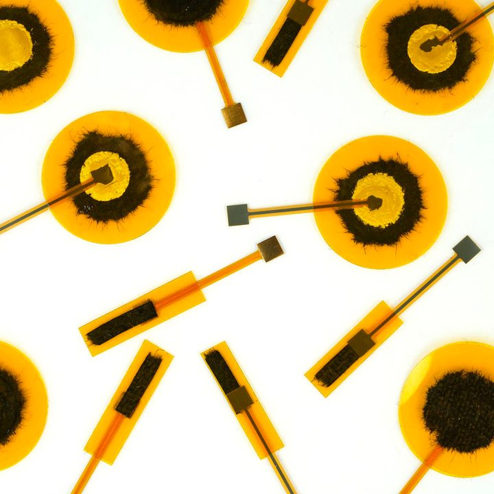 Somalytics SomaCap sensors.