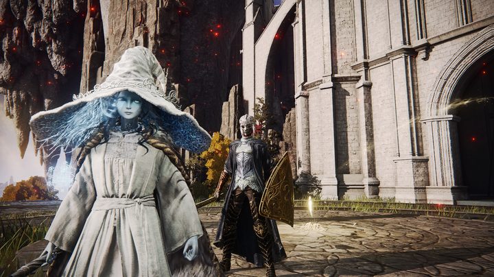 Summoned spirit with player in Elden Ring using mod.