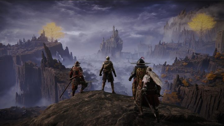 Multiple players look out over a landscape with the Elden Ring co-op mod.