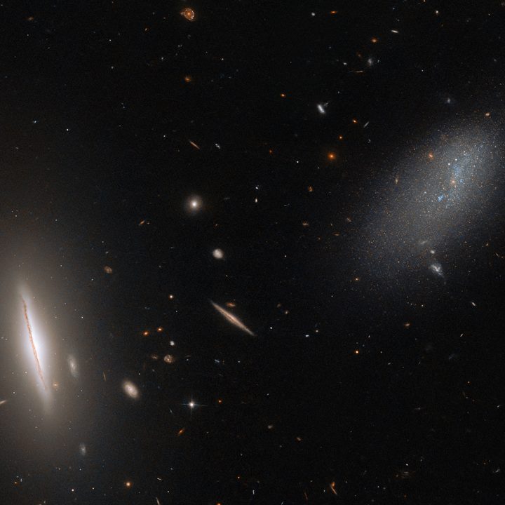 Tthe galaxy LEDA 48062 in the constellation Perseus.