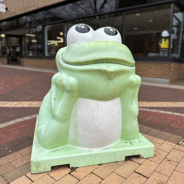 Portrait mode photo of a frog sculpture on a brick walkway.