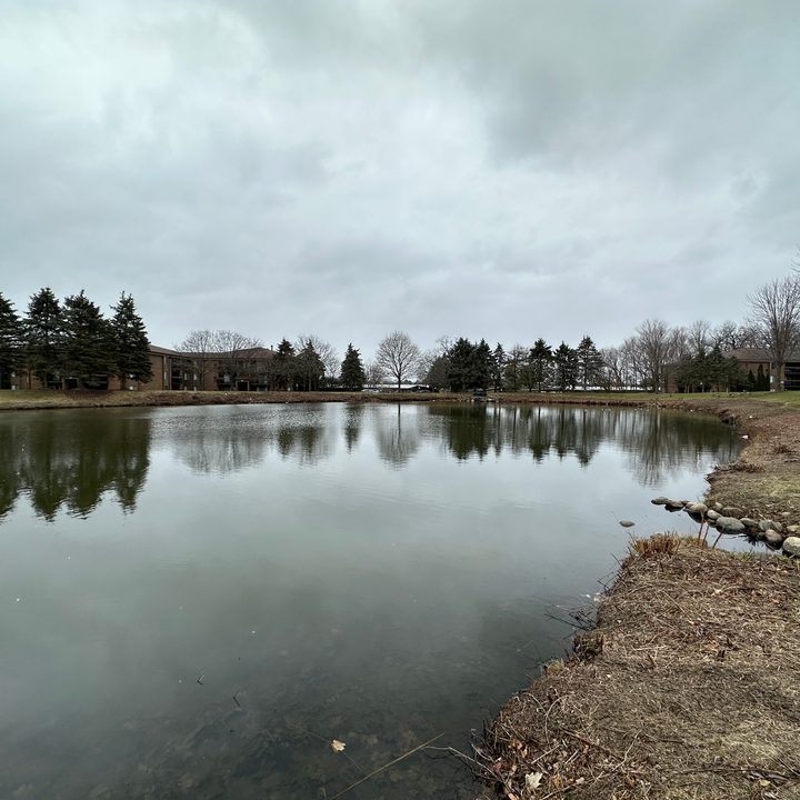 Photo of a pond with an overcast sky in the background.