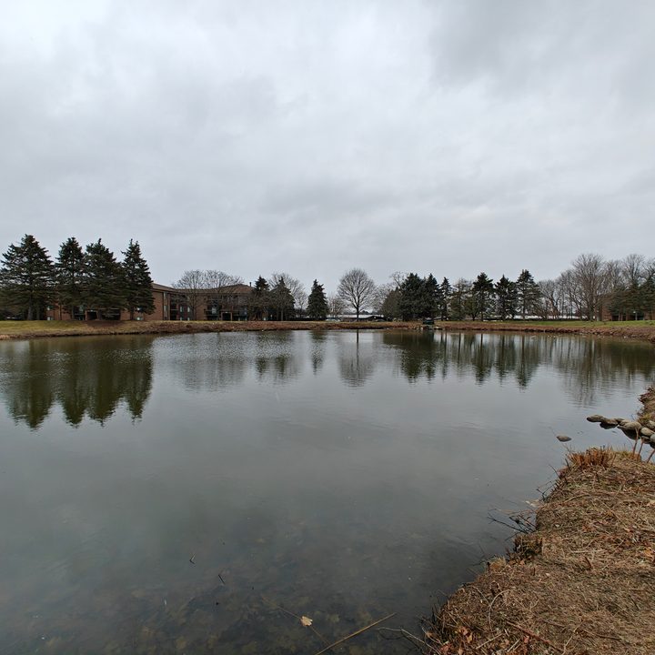 Photo of a pond with an overcast sky in the background.