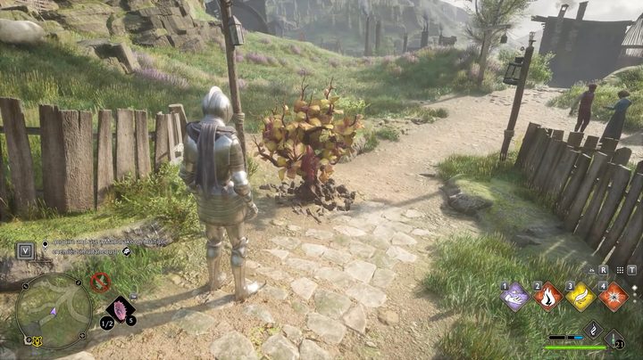 A man in armor next to a mandrake plant.
