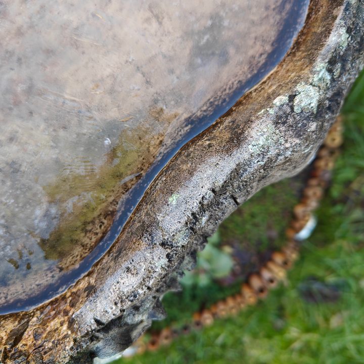 OnePlus 11 main camera photo.