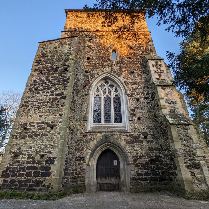 Photo taken with the Google Pixel 7's wide-angle camera.