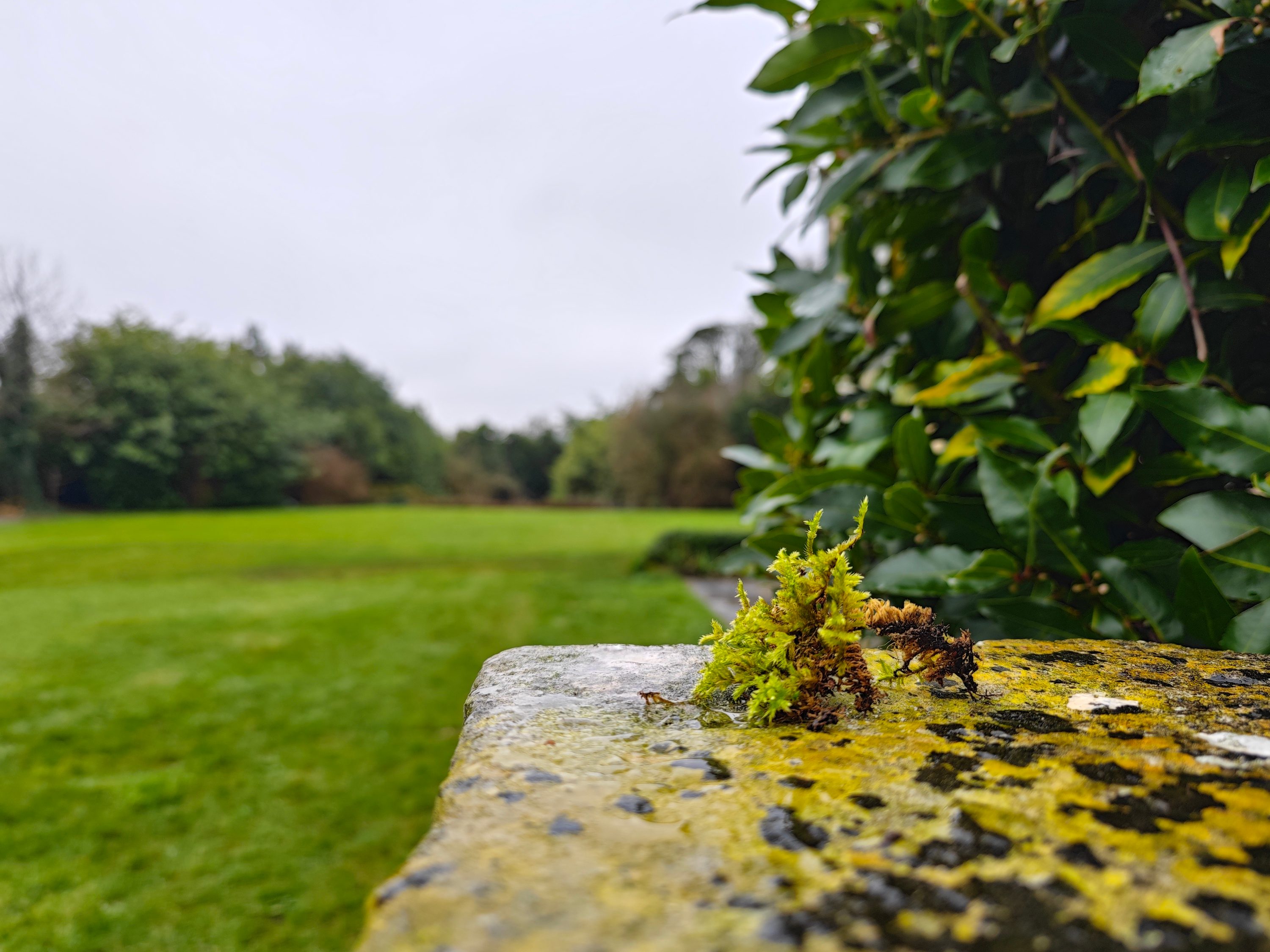 Photo taken with the Xiaomi 13 Pro, using the main camera.