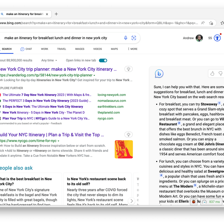 Bing AI copilot search result.