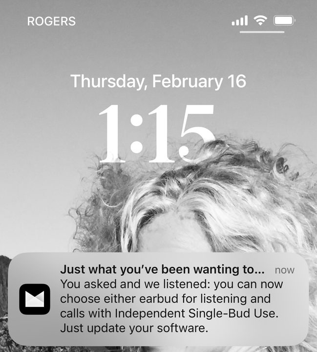 Bose Music app transfer update screen.